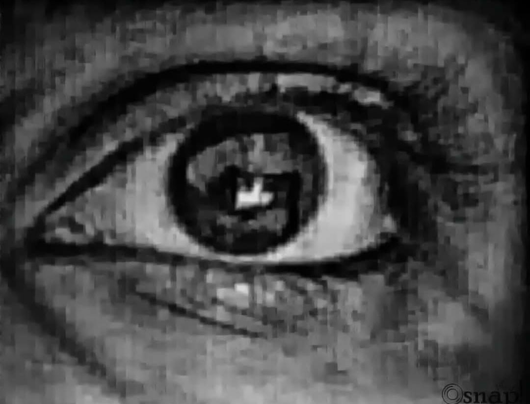 THE EYES OF THE BEHOLDER